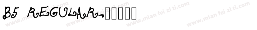 B5 REGULAR字体转换